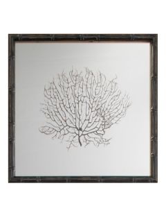 Framed Sea Fan on Mirror (15 x 15) by MIRROR IMAGE HOME