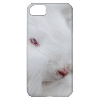 White Angora Rabbit Case For iPhone 5C