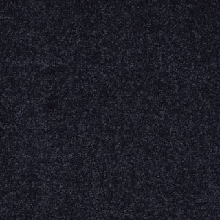Shaw 7L52500402 Blue Textured Indoor Carpet
