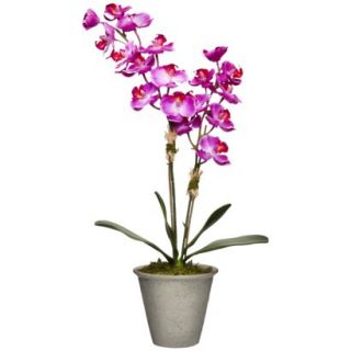 Smith & Hawken® Faux Purple Orchid in Cerami