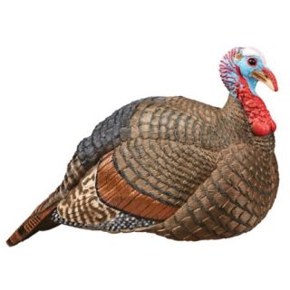 Hunters Specialties HS Strut Jake Snood Turkey Decoy 760459