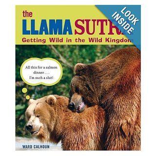 The Llama Sutra Getting Wild in the Wild Kingdom Ward Calhoun 9781592582570 Books