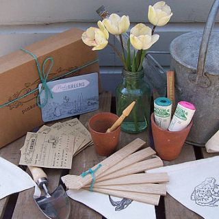 children's garden gift box by pinks and greens