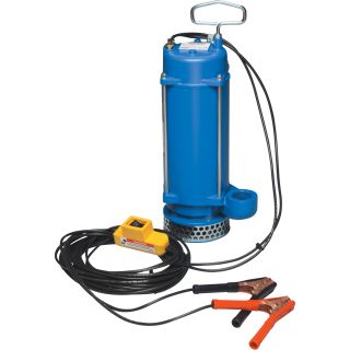 PortaPump Submersible Pump — 12 Volt, 2580 GPH, 1/3 HP, Model# SPA1 1/2E3  12 Volt Pumps