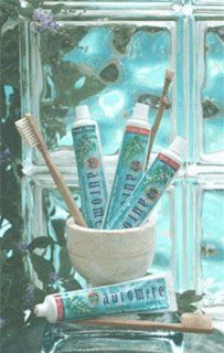Toothpaste Mint Free Homeopathic 4.16 Ounces Health & Personal Care