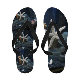 White Starfish Sandal Flip Flops