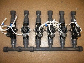 1" 6 Valve Manifold Setup for Irrigation System   Rainbird 100DVF Valves Included  Automatic Lawn Sprinkler Heads  Patio, Lawn & Garden