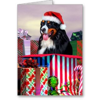 Bernese Mountain Dog Christmas Surprise Greeting Cards