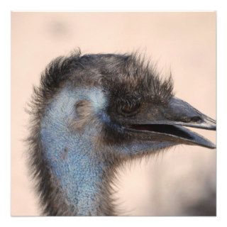 Emu Face Personalized Invitation