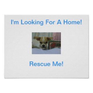 Rescue Me Chihuahua Puppy Poster