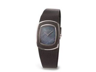 Skagen Women's 549SSBD Black Mesh Watch Skagen Watches