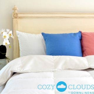 Cozyclouds By Downlinens Deluxe Down Alternative Comforter