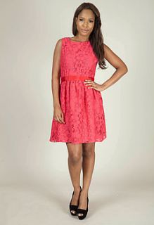 alexia lace dress in fuchsia by rise boutique