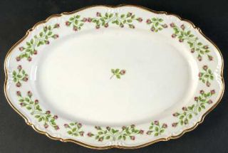 Edelstein Hedgerose 13 Oval Serving Platter, Fine China Dinnerware   Small Pink