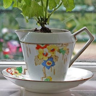 vintage window planter deco bright flowers by the vintage tea cup
