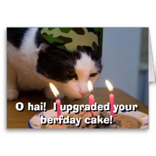 O hai  I upgraded your berfday cake Cards