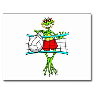 Funny Volleyball Gift Postcards