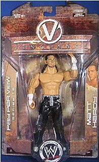 WWE Wrestling Action Figure PPV Pay Per View Series 16 Vengeance Matt Hardy Toys & Games
