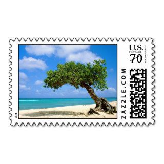 Aruba   Divi Tree Postage
