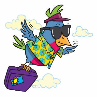 funny bird flying south vacation photo cutout
