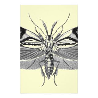 Beautiful moth pencil drawing stationery paper