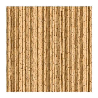 York Wallcoverings CK7695SMP Candice Olson Kids Bamboo Curtain Wallpaper Memo Sample, 8 Inch x 10 Inch    