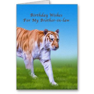 Birthday,  Brother in law, Tiger Walking Cards