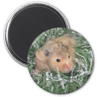 Christmas hamster refrigerator magnet