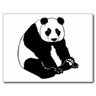 Cuddly Panda Bear Post Cards