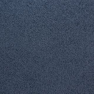 STAINMASTER Active Family Claris Bonnet Textured Indoor Carpet