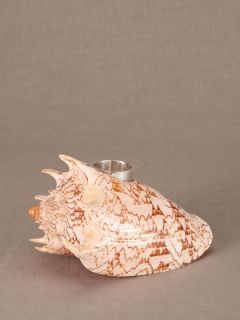 Imperial Volute Shell Votive Candle Holder by Philmore