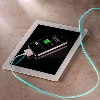 Visible G Electroluminescent Charging Cables