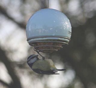 fatball bird feeder by london garden trading