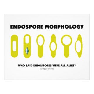 Endospore Morphology   Who Said Were All Alike? Full Color Flyer