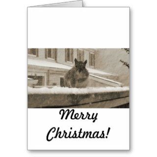 Christmas Squirrel Greeting Cards