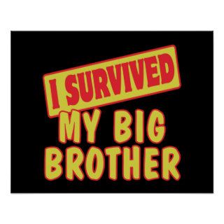 I SURVIVED MY BIG BROTHER POSTERS