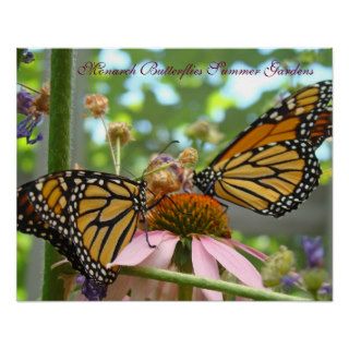 Monarch Butterflies Summer Gardens series prints Print