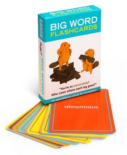 Big Word Flashcards