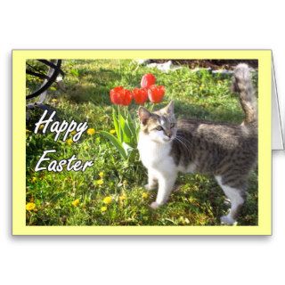 Happy Easter cat greeting card