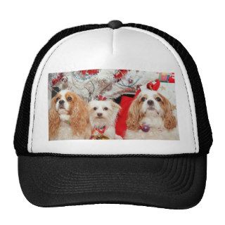 Three Wise Doggies Christmas Hat