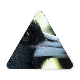 Bird Pecking Order Triangle Stickers