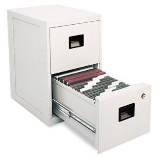 Sentry Safe FIRE SAFE 2 Drawer Insulated Vertical File, 17 1/4w x 23 1/4d x 28h, Light Gray   by BND 49074600013 6000  Vertical File Cabinets 