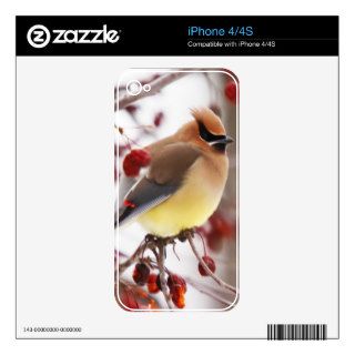 Cedar Waxwing 2 Decals For The iPhone 4S