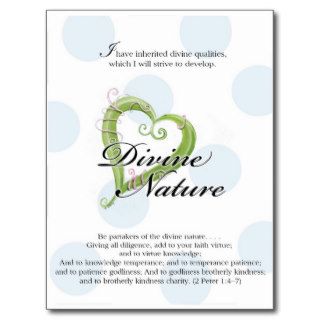 YW Card  Divine Nature Postcards