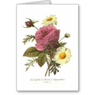 Rose and Chrysanthemum Cards