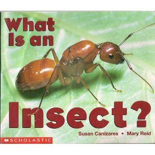 What Is An Insect? (Emergent Readers) Susan Canizares, S Canizares, Mary Carpenter Reid, M Reid 9780590397902 Books