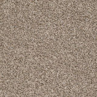 Shaw 7L53100104 Cream Textured Indoor Carpet