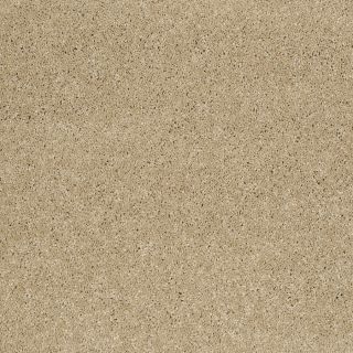 STAINMASTER Trusoft Luscious III Canyon Road Textured Indoor Carpet