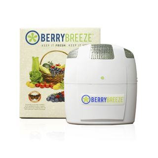 Berrybreeze Bb 100 White Activated Oxygen Refrigerator Deodorizer