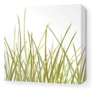 Inhabit Nourish Summer Grass Stretched Graphic Art on Canvas SG Size 16 x 16
